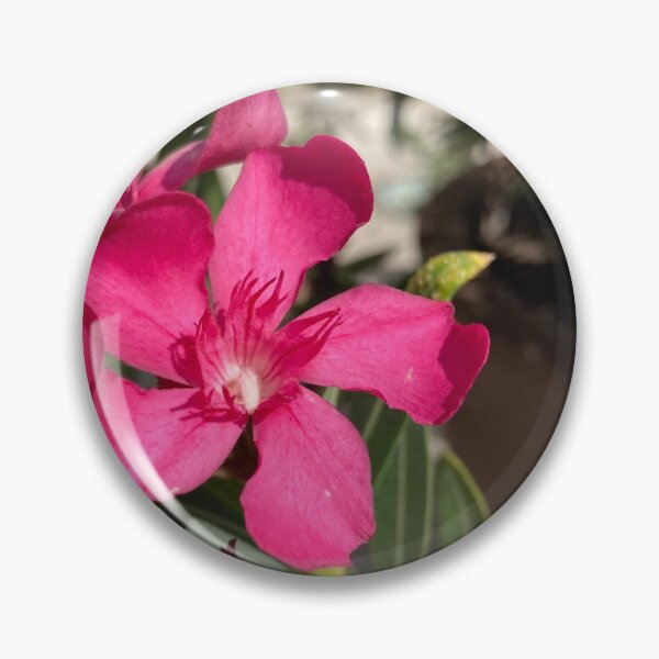 Artikelvorschau, Rosa Blüte Provence entworfen und verkauft von VitoTDesign.