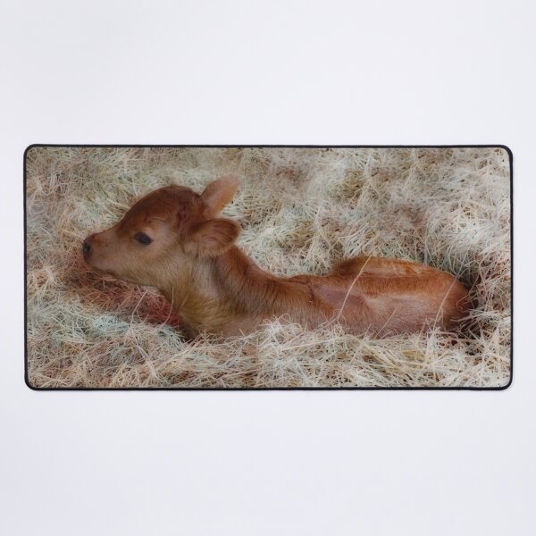 Item preview, Cute baby cow designed and sold by MarionsArt.