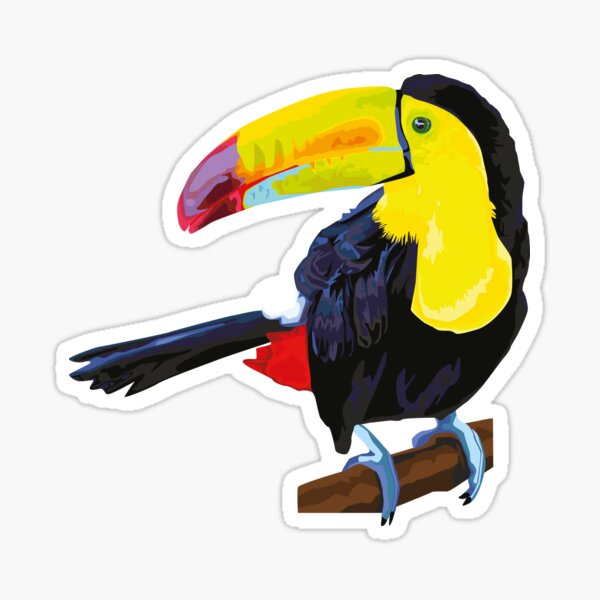 Toucan illustration Sticker