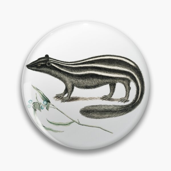 Item preview, European polecat hand drawn animal in dark brown colors with plant and flowers for black-footed ferret Mustelinae skunk designed and sold by wackodesign.