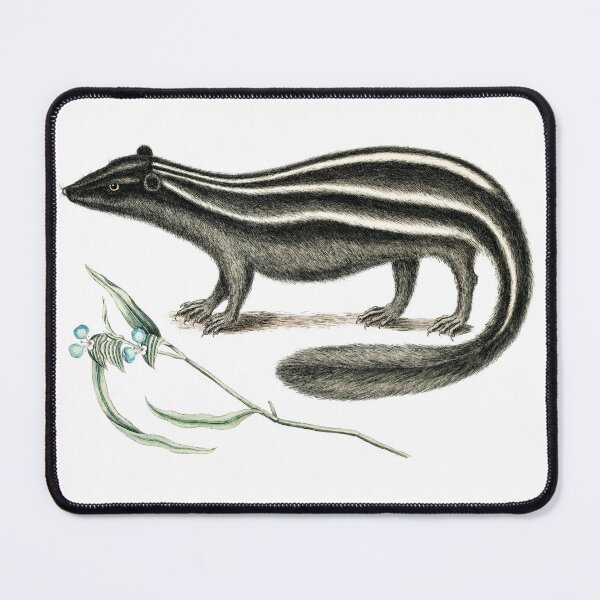Item preview, European polecat hand drawn animal in dark brown colors with plant and flowers for black-footed ferret Mustelinae skunk designed and sold by wackodesign.