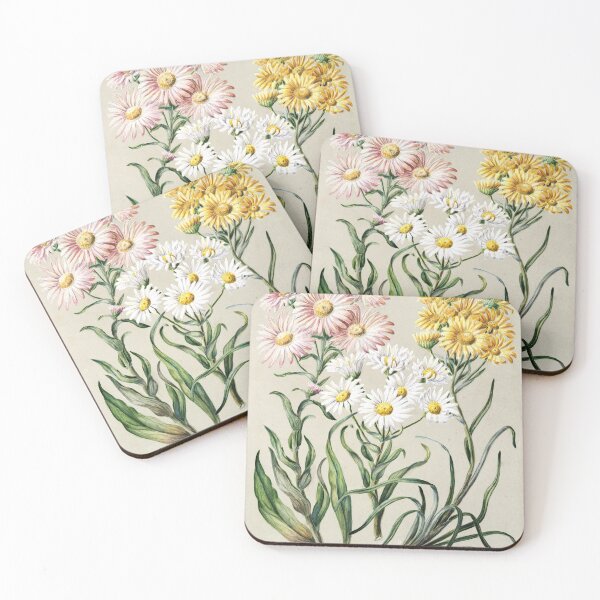 Item preview, Sunflowers,  Antique Plant Snow Groundsels Drawn By Featon (1848–1927) designed and sold by Yeldiz.