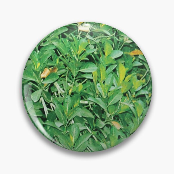 Item preview, leaves texture designed and sold by Abharan.