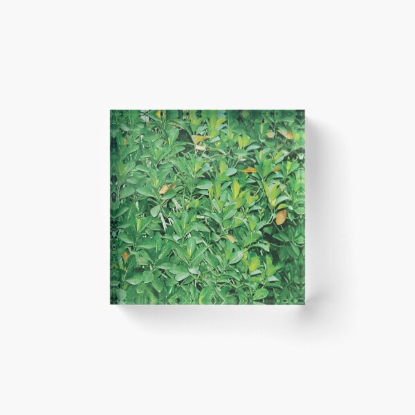 Item preview, leaves texture designed and sold by Abharan.