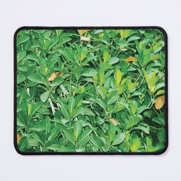 Item preview, leaves texture designed and sold by Abharan.