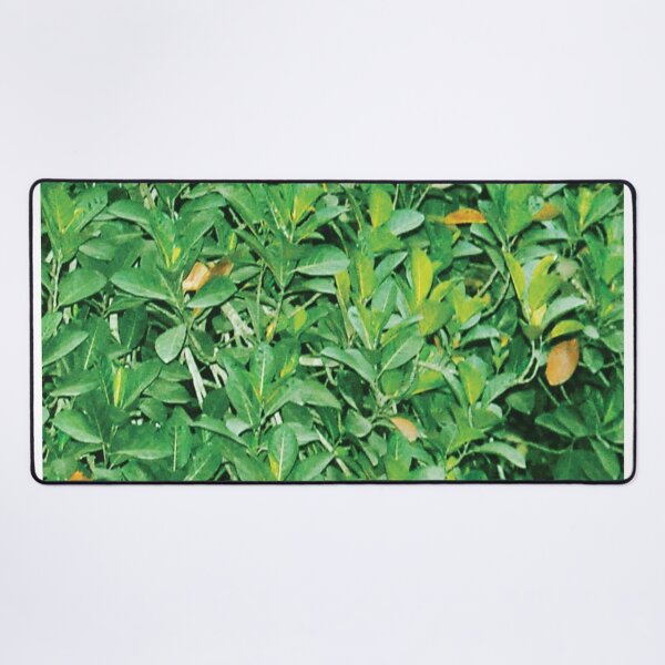 Item preview, leaves texture designed and sold by Abharan.