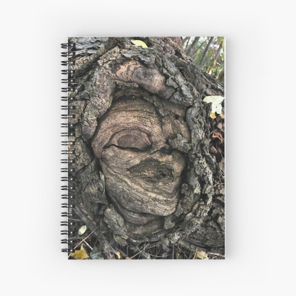 Spiral Notebook