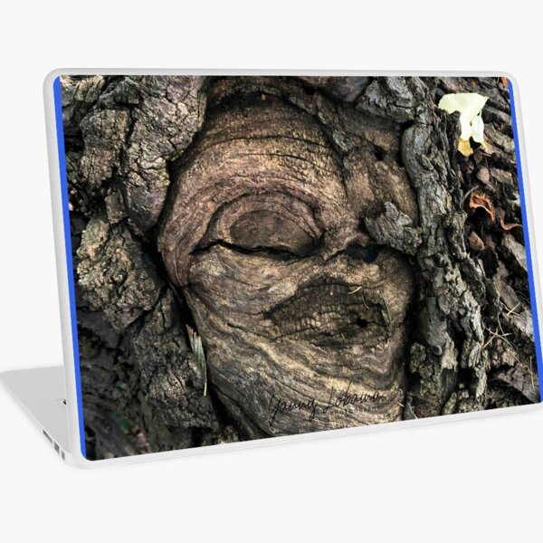 Macbook Air 13" (2015)