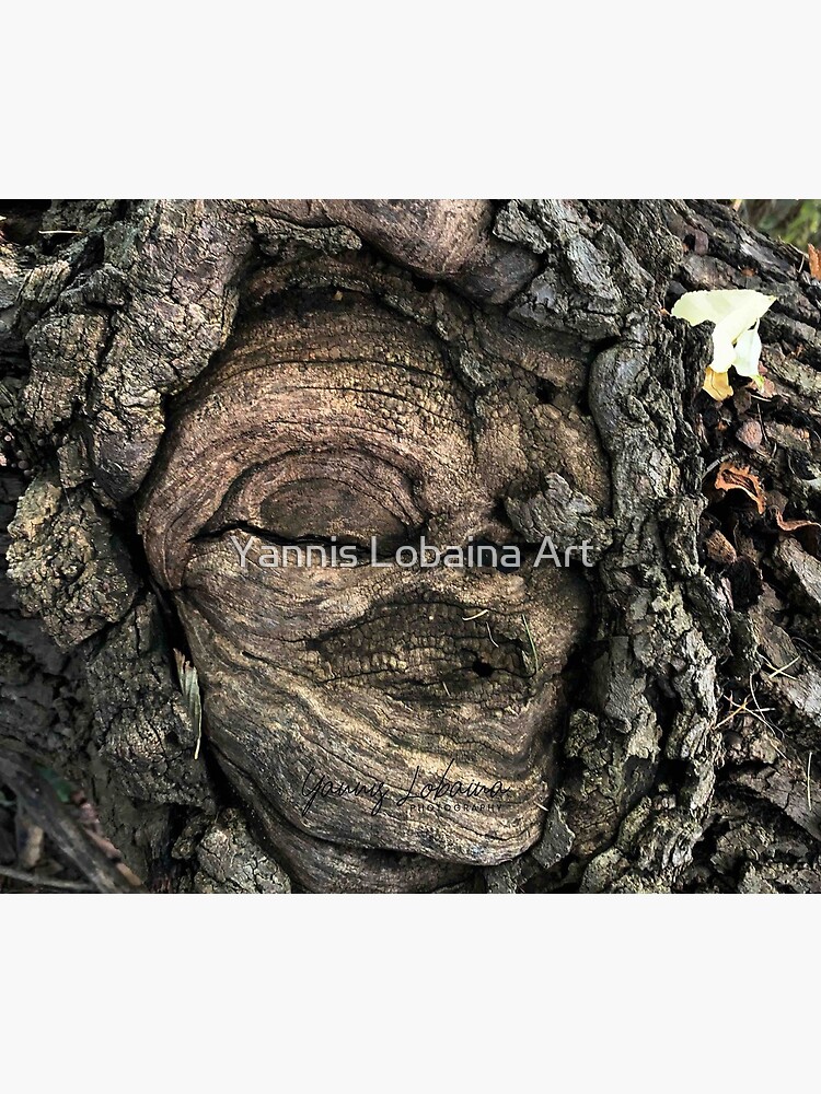 FEMALE SPIRIT AN OAK TREE By Yannis Lobaina by lobaina1979