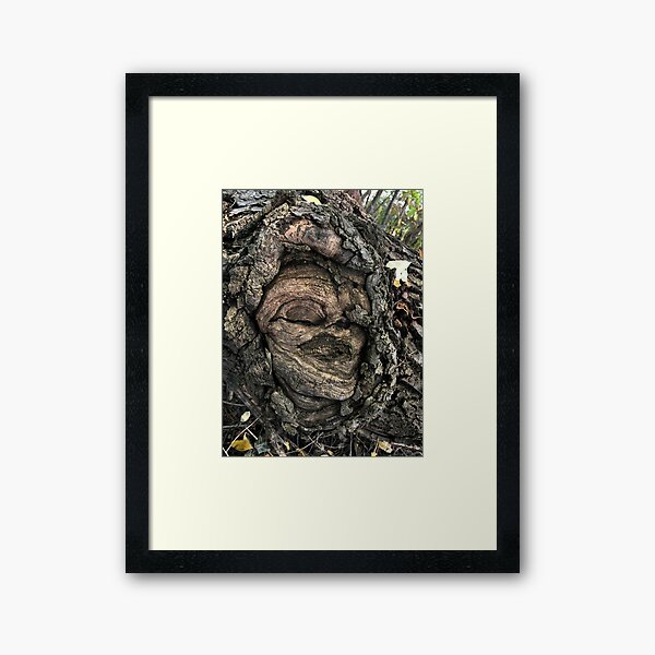 Framed Print