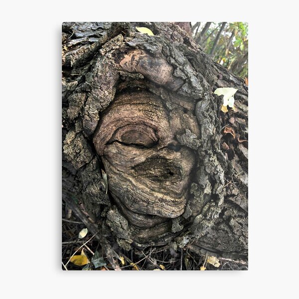 Metal Print