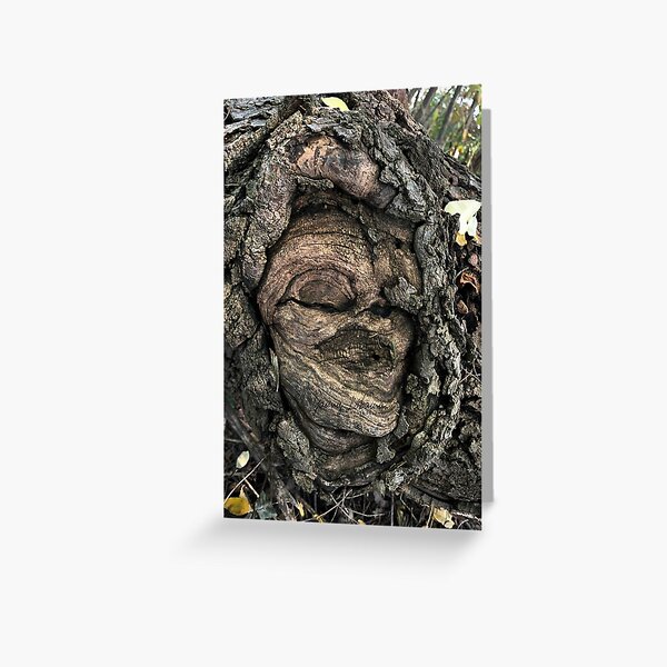 Greeting Card