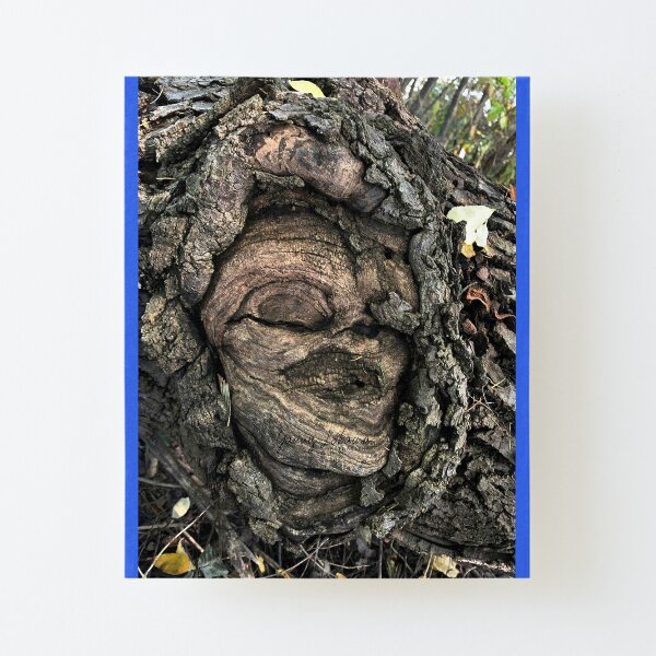 Canvas Mounted Print