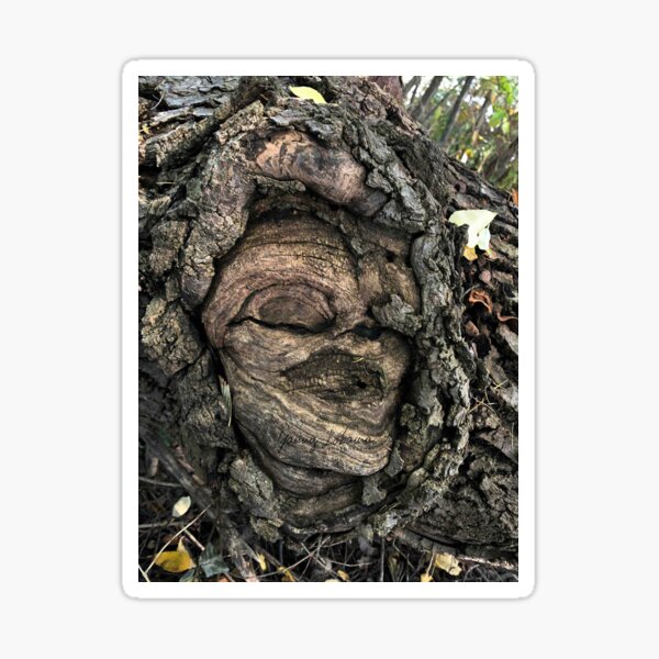 FEMALE SPIRIT AN OAK TREE By Yannis Lobaina Sticker