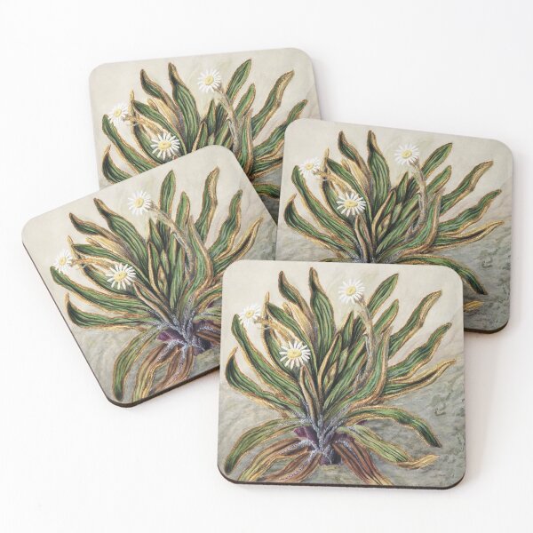 Item preview, Sunflowers, Antique Plant Mountain Daisy Drawn By Featon (1848–1927) designed and sold by Yeldiz.