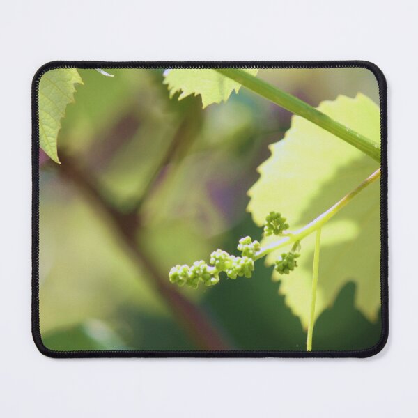 Item preview, Grape study 1 designed and sold by chstudios.