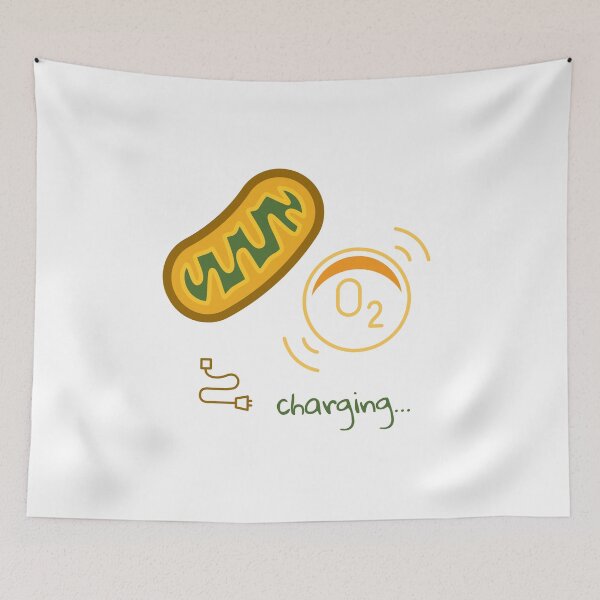Item preview, getting energy through mitochondria designed and sold by Nabello.