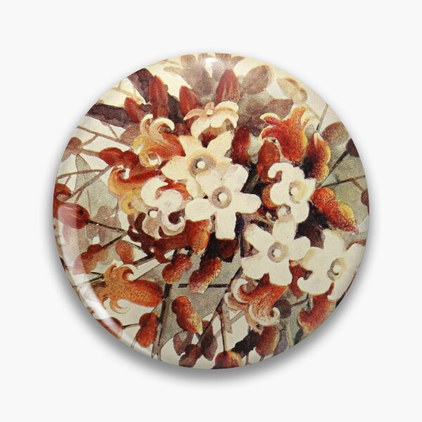 Artikelvorschau, Australische Blumen Vintage entworfen und verkauft von Quilar.