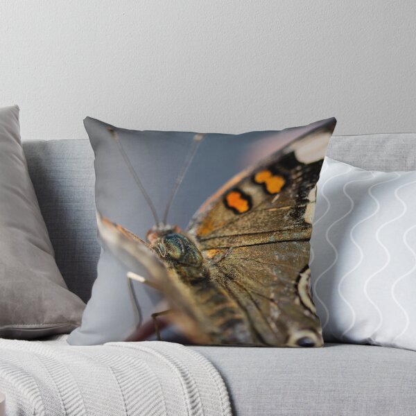 Item preview, Common Buckeye Junonia Coenia designed and sold by Henrik Lehnerer.