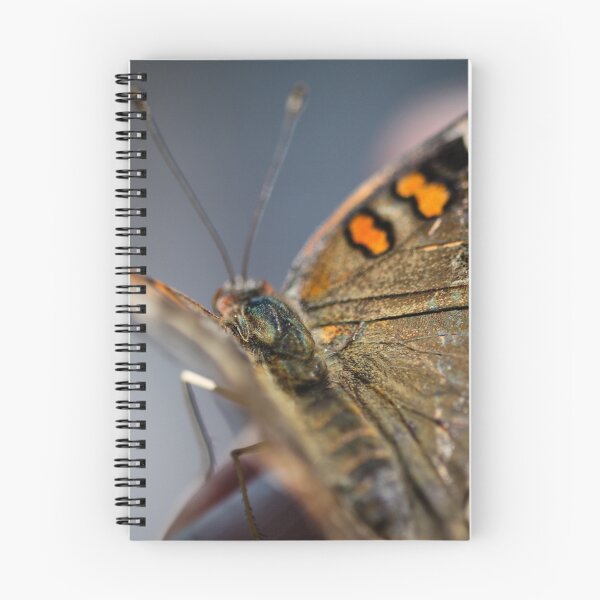 Item preview, Common Buckeye Junonia Coenia designed and sold by Henrik Lehnerer.