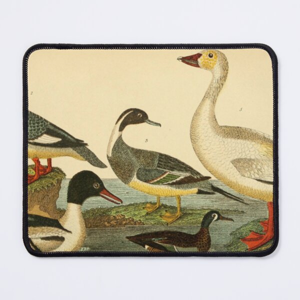 Item preview, Naturalist Ducks designed and sold by BlueSpecsStudio.