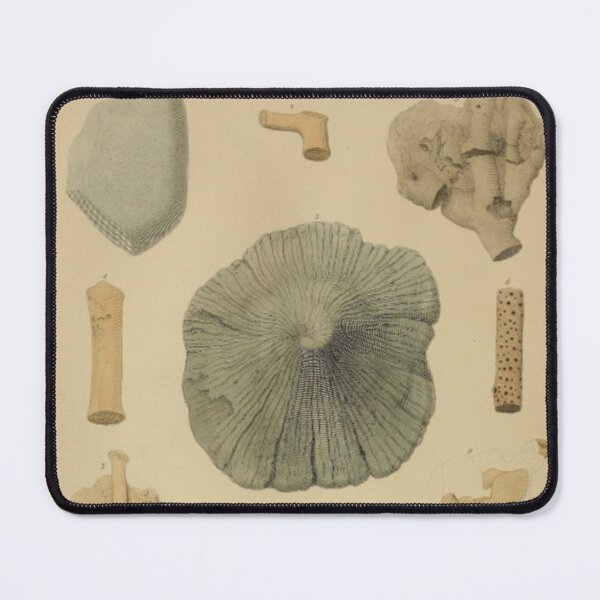 Item preview, Coral Fossils designed and sold by BlueSpecsStudio.