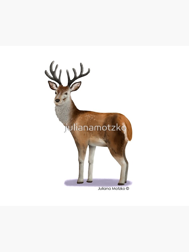 Deer by julianamotzko