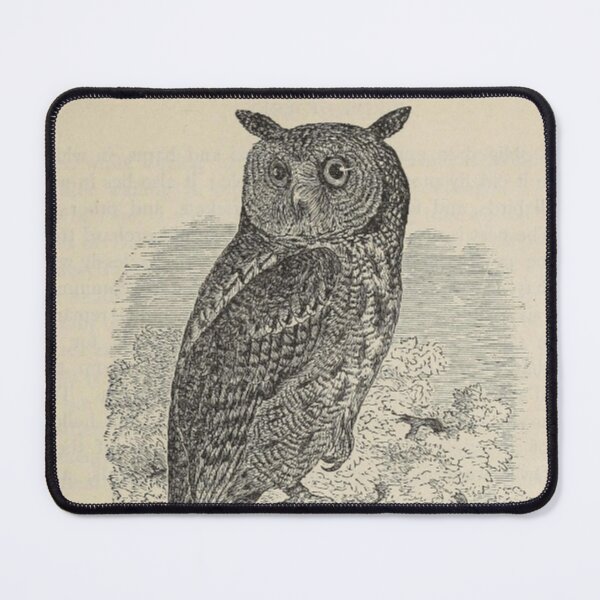 Item preview, Screech Owl designed and sold by BlueSpecsStudio.