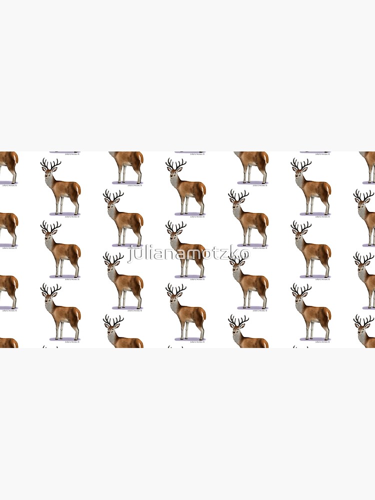 Deer by julianamotzko