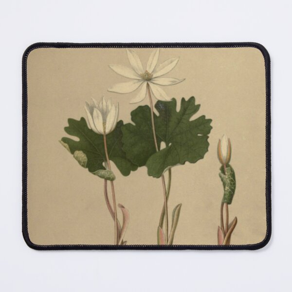 Item preview, Naturalist Bloodroot designed and sold by BlueSpecsStudio.