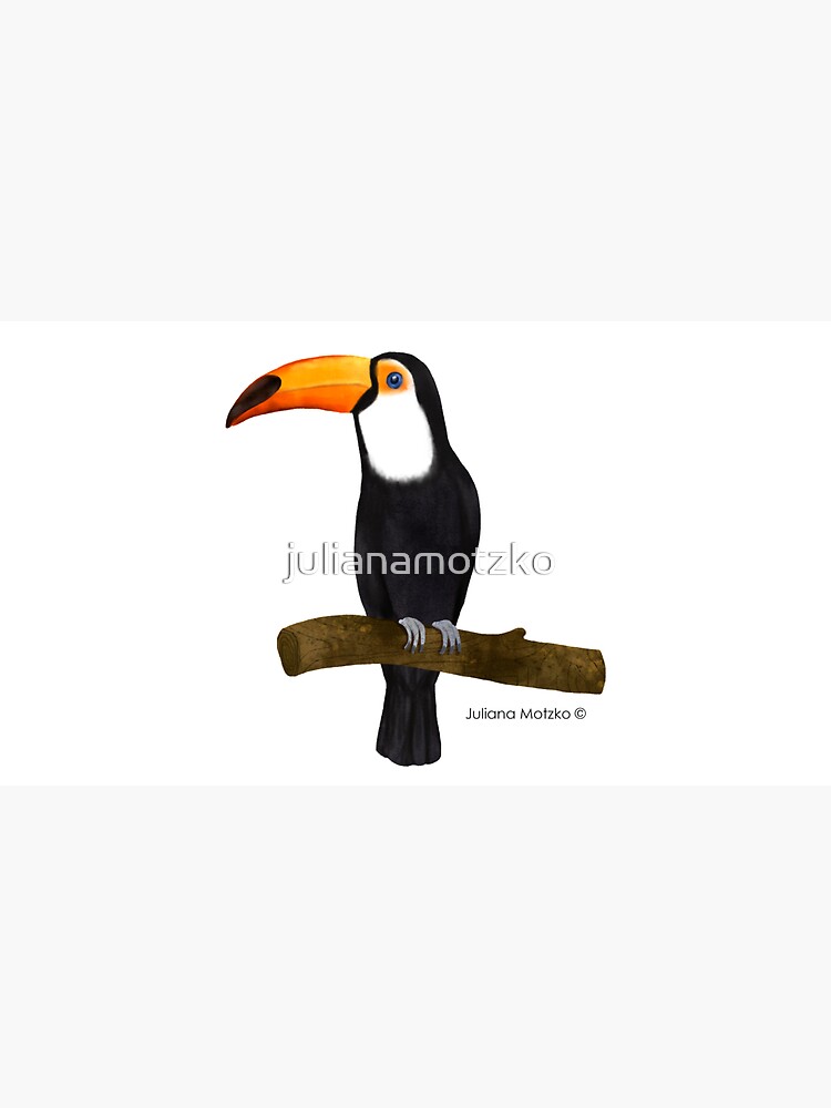 Toucan by julianamotzko