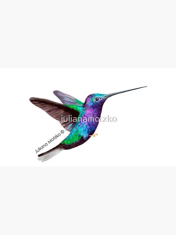 Hummingbird by julianamotzko