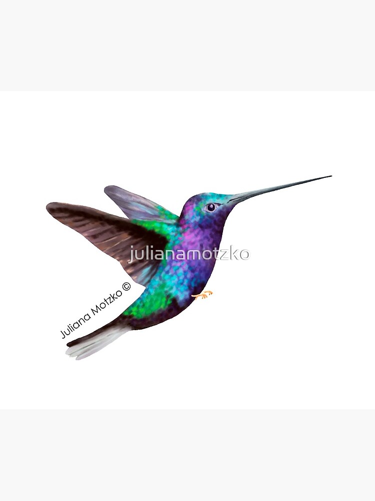 Hummingbird by julianamotzko