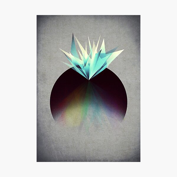 Refract Photographic Print