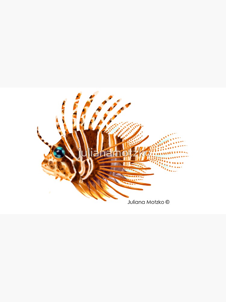 Zebra Lionfish by julianamotzko
