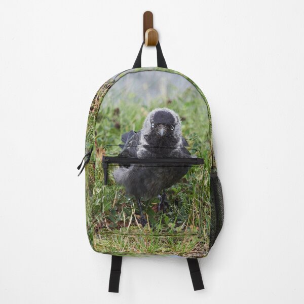 Item preview, So what. Eurasian Jackdaw designed and sold by Jouko Lehto Photography.