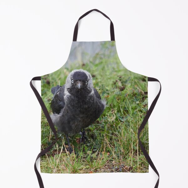 Item preview, So what. Eurasian Jackdaw designed and sold by Jouko Lehto Photography.