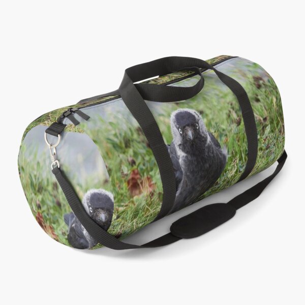 Item preview, So what. Eurasian Jackdaw designed and sold by Jouko Lehto Photography.