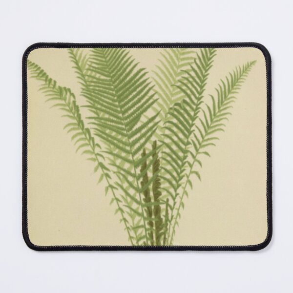 Item preview, Ostrich Fern designed and sold by BlueSpecsStudio.