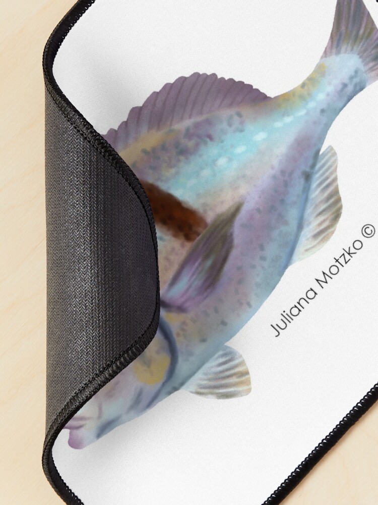 Alternate view of Xantic Sargo fish Mouse Pad
