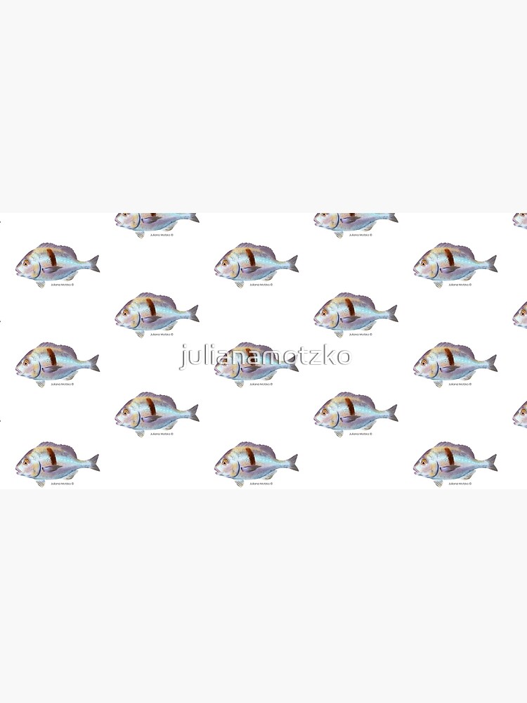 Xantic Sargo fish by julianamotzko