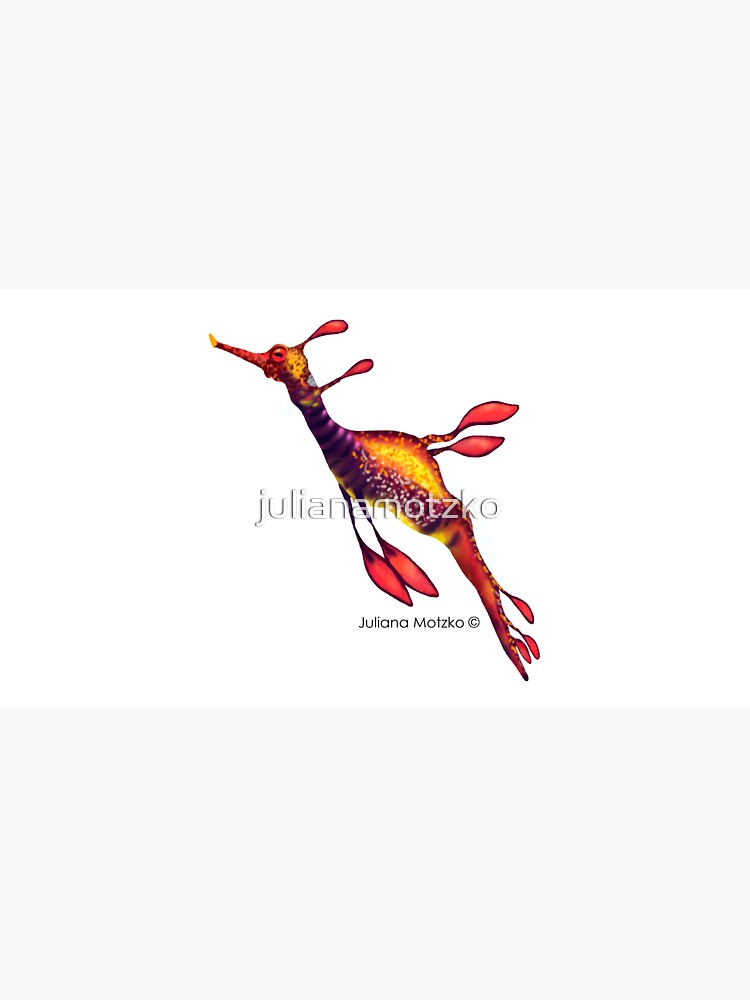 Weedy Seadragon by julianamotzko