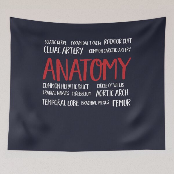 Item preview, Anatomy cloud designed and sold by Vectorqueen.
