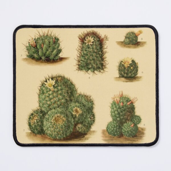 Item preview, Naturalist Cacti designed and sold by BlueSpecsStudio.
