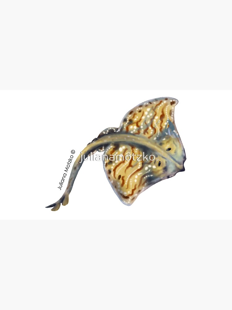 Undulate Ray by julianamotzko