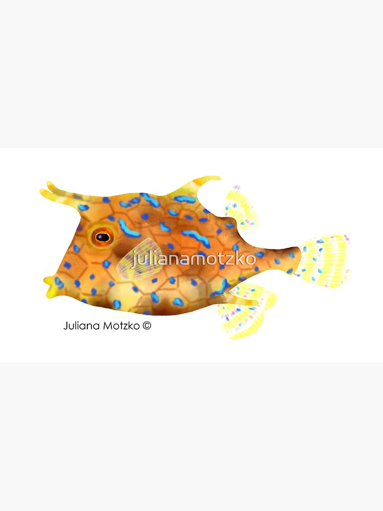 Thornback Cowfish by julianamotzko
