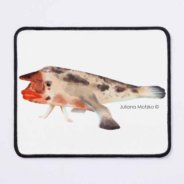 Item preview, Redlipped Batfish designed and sold by julianamotzko.