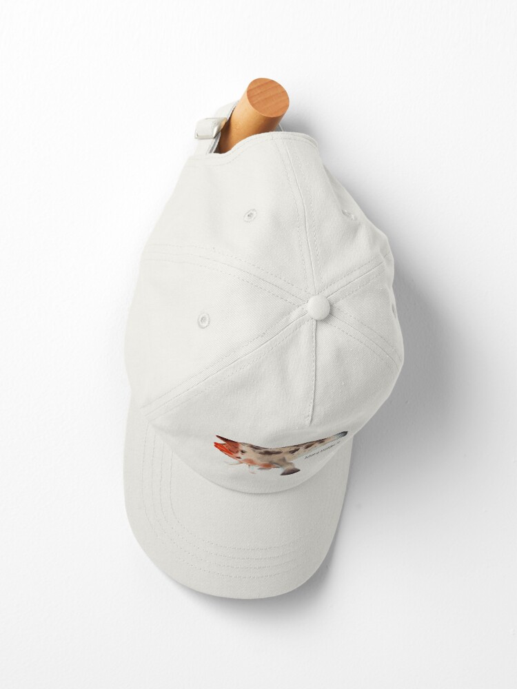 Alternate view of Redlipped Batfish Cap