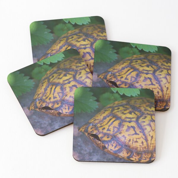 Item preview, Study of Shelly the Eastern box turtle, Terrapene carolina -1 designed and sold by chstudios.