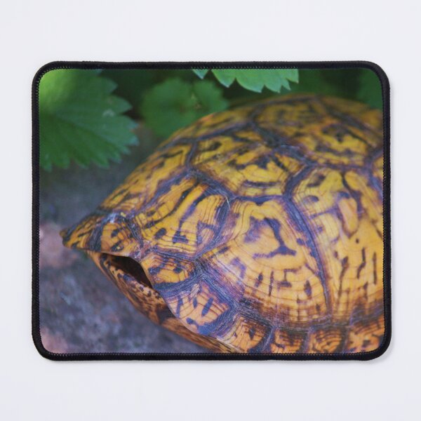 Item preview, Study of Shelly the Eastern box turtle, Terrapene carolina -1 designed and sold by chstudios.